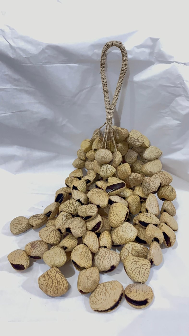 Big Nut Shaker
