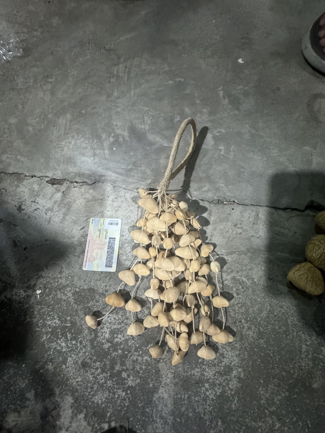 Small Nut Shaker